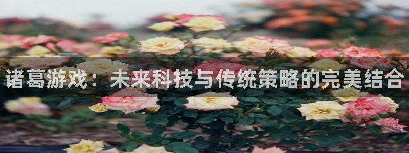 优贝娱乐平台登陆：诸葛游戏：未来科技与传统策略的完美结合