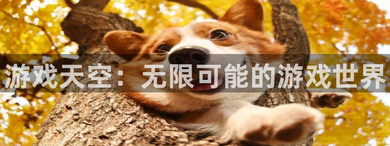 优贝娱乐手机网页版登录：游戏天空：无限可能的游戏世界