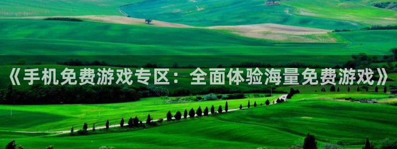 优贝娱乐线路测试：《手机免费游戏专区：全面体验海量免费游戏》