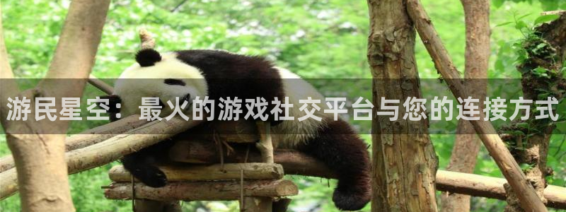 优贝娱乐注册账号：游民星空：最火的游戏社交平台与您的连接方式