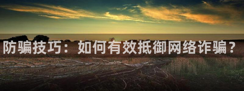 优贝娱乐app：防骗技巧：如何有效抵御网络诈骗？