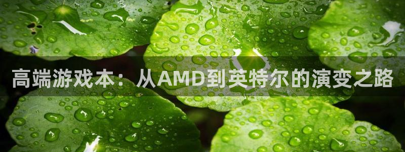 优贝娱乐登陆：高端游戏本：从AMD到英特尔的演变之路