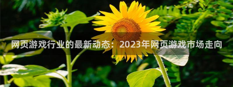 优贝娱乐平台登录线路：网页游戏行业的最新动态：2023年网页