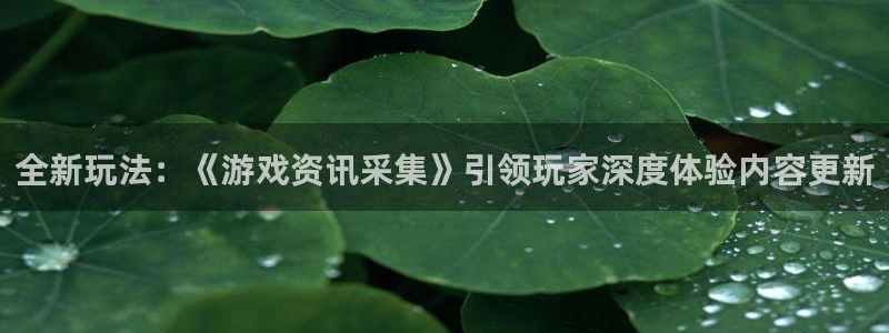 优贝娱乐的意思：全新玩法：《游戏资讯采集》引领玩家深度体验内