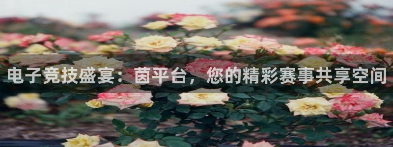 优贝娱乐测速登陆：电子竞技盛宴：茵平台，您的精彩赛事共享空间