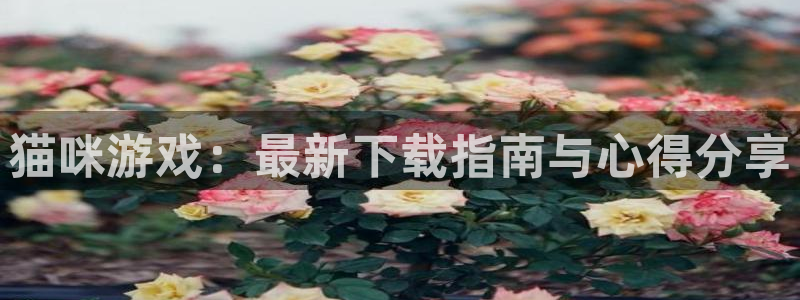 优贝娱乐网页登录入口下载：猫咪游戏：最新下载指南与心得分享
