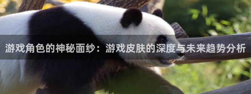 优贝娱乐线路测试：游戏角色的神秘面纱：游戏皮肤的深度与未来趋