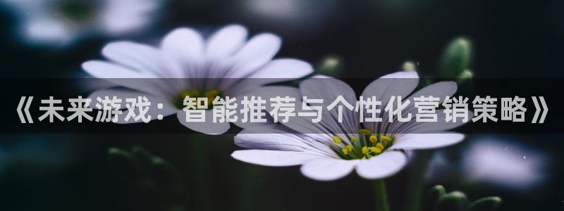 优贝娱乐登录地址：《未来游戏：智能推荐与个性化营销策略》