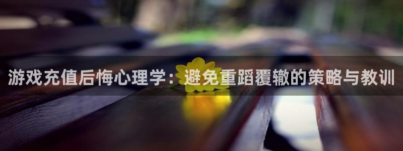 优贝娱乐2首页登录：游戏充值后悔心理学：避免重蹈覆辙的策略与