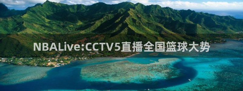 上海五星体育直播在线观看