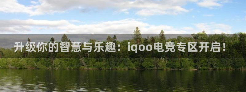 优贝娱乐与泰山体育合作方案的区别：升级你的智慧与乐趣：iqo