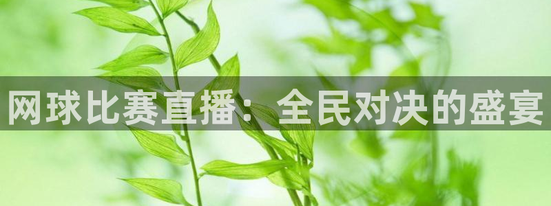 五星体育节目主持人：网球比赛直播：全民对决的盛宴