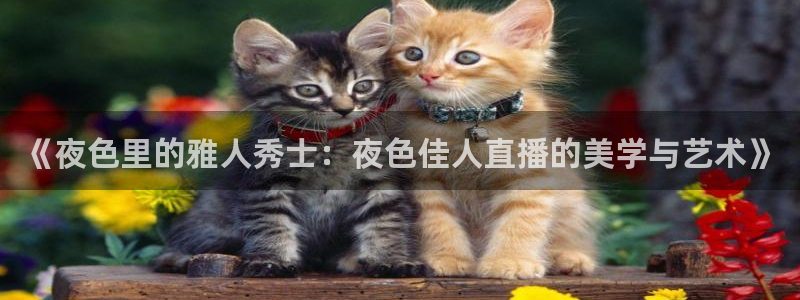 五星体育卫星直播：《夜色里的雅人秀士：夜色佳人直播的美学与艺术》