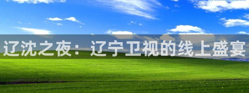 五星体育高清直播：辽沈之夜：辽宁卫视的线上盛宴